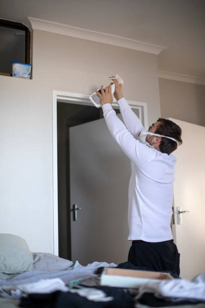 Mold Odor Removal Services in St James, NY