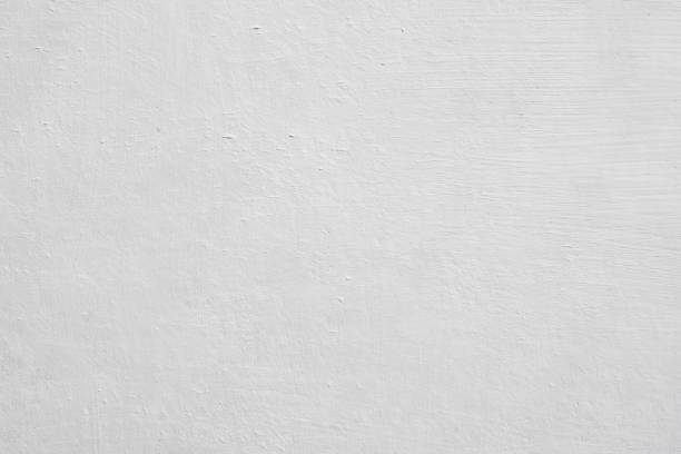 Best Mold Prevention Services  in St James, NY