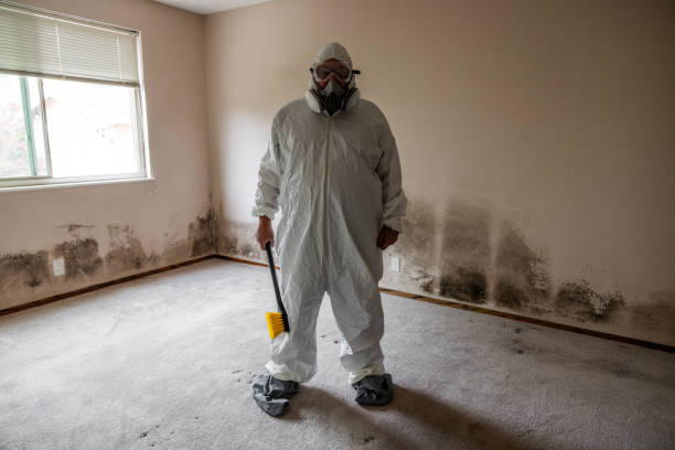 Best Air Quality Testing for Mold Spores  in St James, NY