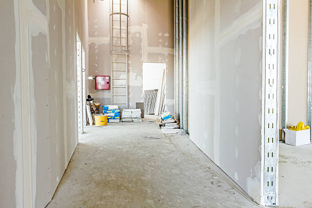 Best Asbestos and Lead Testing During Mold Inspection  in St James, NY
