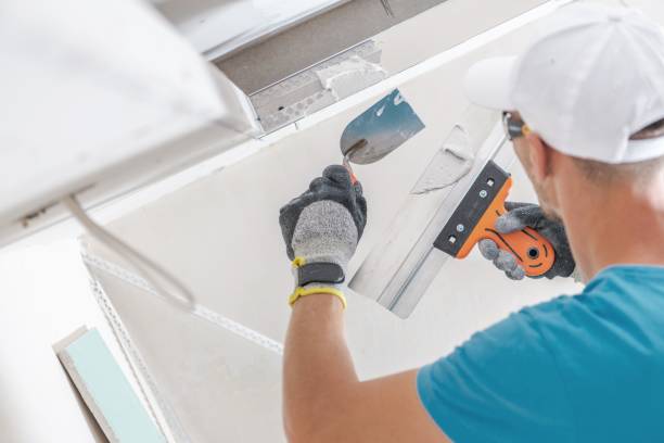 Best Emergency Mold Remediation  in St James, NY